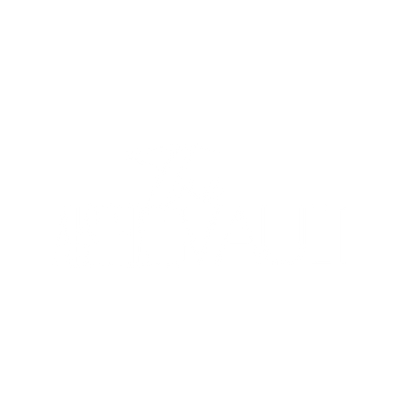 The Aesthetic Vault